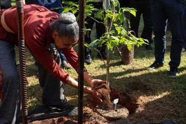 Tomaz Silva/Agência Brasil Rio de Janeiro (RJ), 22/05/2025 – A ministra do Meio Ambiente e Mudança do Clima, Marina Silva participa de plantação de árvore durante celebração do Dia Internacional da Biodiversidade, no Jardim Botânico do Rio de Janeiro, na zona sul da capital fluminense. Foto: Tomaz Silva/Agência Brasil