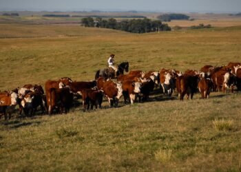 PIB cresce 1,4% no primeiro trimestre de 2025