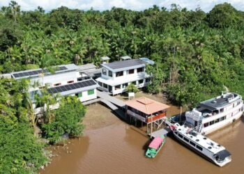 Agroindústria beneficia bioativos com energia limpa na Ilha do Marajó