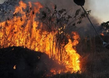 Ibama multa 242 pessoas por incêndios criminosos em 2024