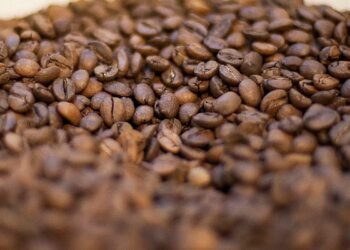 Governo reprova três marcas de café por serem impróprias para consumo