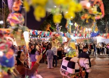 TV Brasil terá programação especial das festas de São João