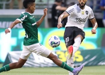 Palmeiras elimina Botafogo e avança na Copa do Mundo de Clubes da Fifa
