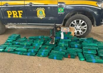 PRF e PC prendem 4 suspeitos e apreende 132 kg de drogas e fuzil no interior baiano