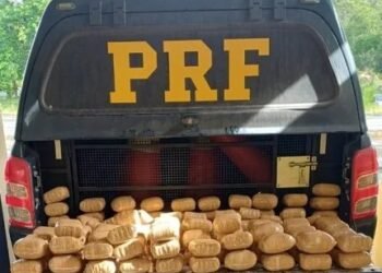 PRF prende casal com 79 Kg de haxixe; 61 kg de maconha foram encontrados à margem da BR