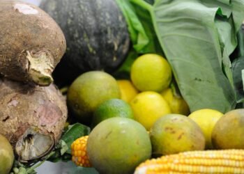 Preço da Cesta Básica cai em 15 de 17 capitais pesquisadas