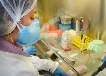 USP: pesquisa de vacina contra zika avança em testes com camundongos