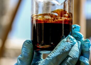 Estados Unidos compram 8% de todo o petróleo vendido pela Petrobras