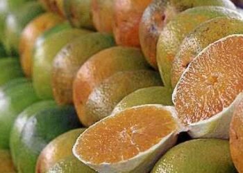 Exceções do tarifaço representam 43,4% do valor exportado aos EUA