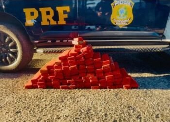 PRF apreende maconha e cloridrato de cocaína em ônibus na Bahia