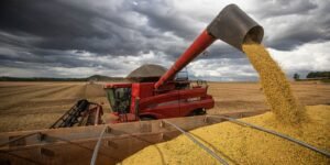 Produção de grãos deve crescer 14% e chegar a 340 milhões de toneladas