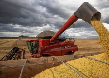 Produção de grãos deve crescer 14% e chegar a 340 milhões de toneladas