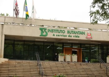 Butantan se prepara para testar vacina contra gripe aviária em humanos