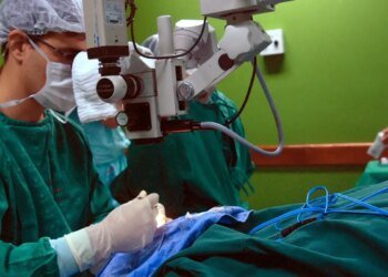 Exames são importantes para diagnóstico do câncer de intestino