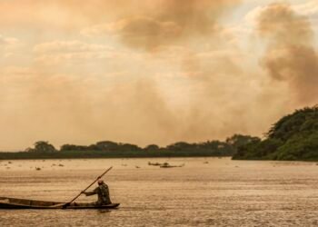 Pesquisadores e povos da floresta pedem veto ao PL da Devastação