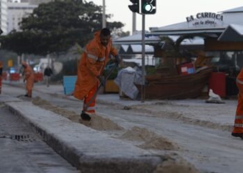 Após ondas gigantes, cinco pinguins aparecem mortos na orla do Rio