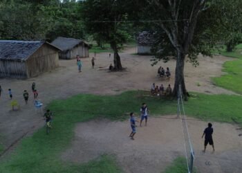 Saiba quais são as unidades de conservação mais populosas do país