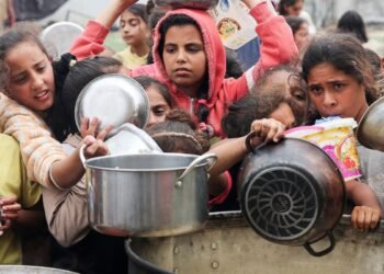 Entidades denunciam redução da distribuição de alimentos em Gaza