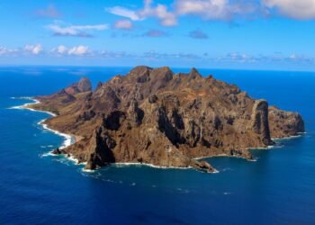 Ilha capixaba aumenta flora nativa e é modelo de restauração ambiental