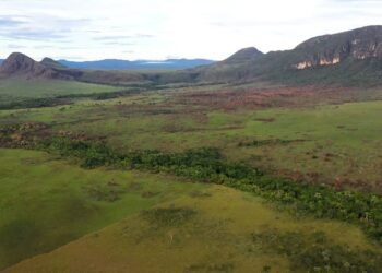 BNDES aprova R$150 milhões para prevenção e combate a incêndios