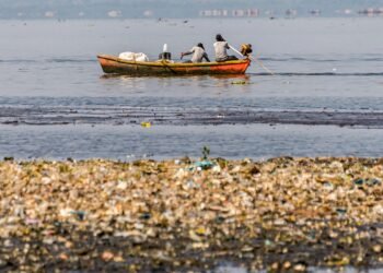 Pescadores tiram 46 toneladas de lixo em baias de Guanabara e Sepetiba