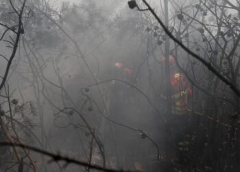 UE: incêndios florestais já queimaram mais de 1 milhão de hectares