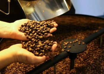 Associação de cafés especiais apoia medidas do Plano Brasil Soberano