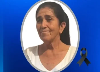 Idosa morre após ataque brutal de vaca furiosa no interior da Bahia