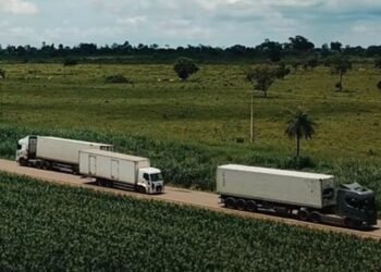 Leilão de concessão da Rota Agro tem deságio de 19,7% no pedágio