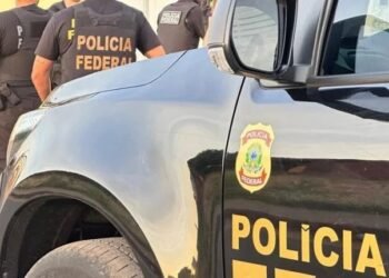 PF apreende equipamentos usados para crimes sexuais infantojuvenis