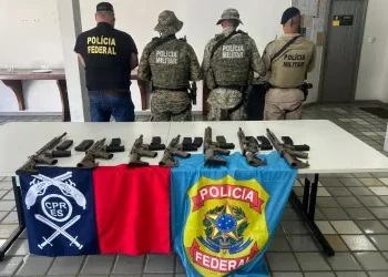 Operação apreende 7 fuzis na zona rural da cidade de cidade baiana