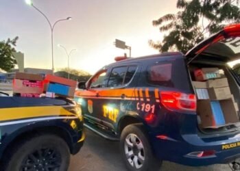 PRF apreende quase 2,4 mil caixas de medicamentos transportados irregularmente