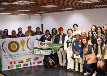 Organizações sociais querem participação na governança da OTCA