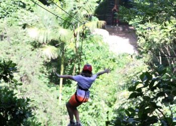 Gestores aprovam modelo de concessão de parques naturais e urbanos