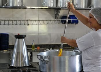 Ceará sanciona lei que zera ultraprocessados na merenda até 2027