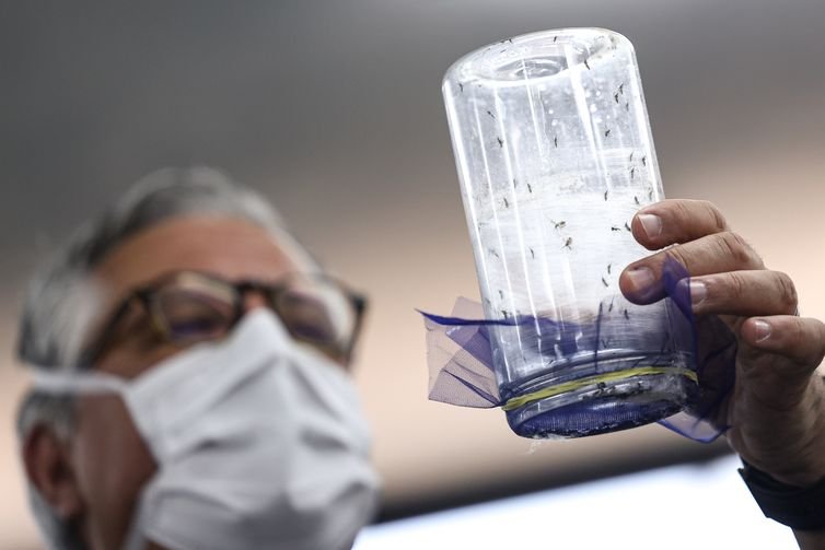 Brasília (DF), 09/09/2025 - O ministro da Saúde, Alexandre Padilha, participa da inauguração da biofábrica de Wolbachia de Brasília, no Núcleo de Controle Químico e Biológico (NCQB). Os mosquitos aedes aegypti são inoculados com a bactéria Wolbachia, o que os torna 