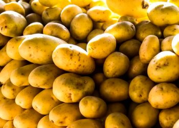 Batata, ovos e verduras reduzem pressão inflacionária em agosto em SP