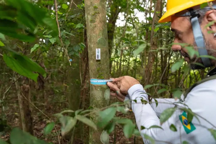 Itaipu triplica diversidade em floresta. Trabalho abrange cerca de 30 mil hectares de mata ciliar entre Foz do Iguaçu e Guaíra (PR). Será o mais completo inventário florestal já realizado por uma usina hidrelétrica. Foto: Sara Cheida/Itaipu Binacional. Foto: Sara Cheida/Itaipu Binacional