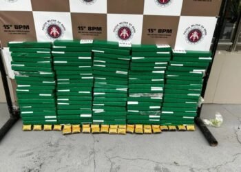 Força policial prende homem que levava 95 kg de drogas na Bahia