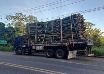 PRF flagra transporte irregular de bambu e alerta para riscos de cargas mal amarradas