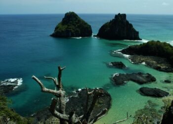 Quase 50% dos turistas usam redes como fonte de informação de viagem