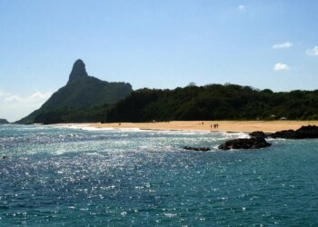 Ilhas brasileiras: estudo revela presença de espécies exclusivas