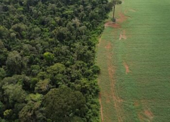 Brasil apresenta soluções de financiamento climático em Nova York