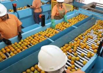 Exportação de produtos atingidos por tarifaço cai 22% em agosto