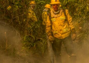 Fotógrafo da Agência Brasil é destaque em prêmio internacional