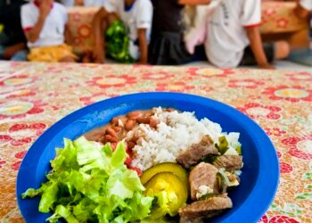 Câmara aprova projeto de compra de alimentos para merenda escolar