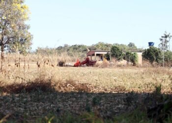 Defesa de fazendeiros em Goiás contesta decisão sobre quilombolas