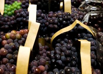 BNDES aprova R$ 1,2 bi para empresas afetadas pelo tarifaço