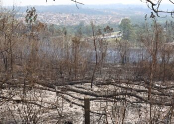 SP segue em atenção para queimadas; reservatórios estão em alerta