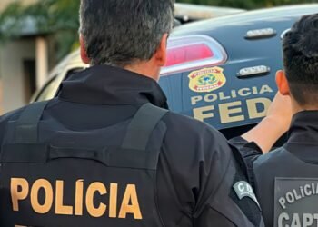 Operação da PF em Guarulhos impede tráfico de animais silvestres